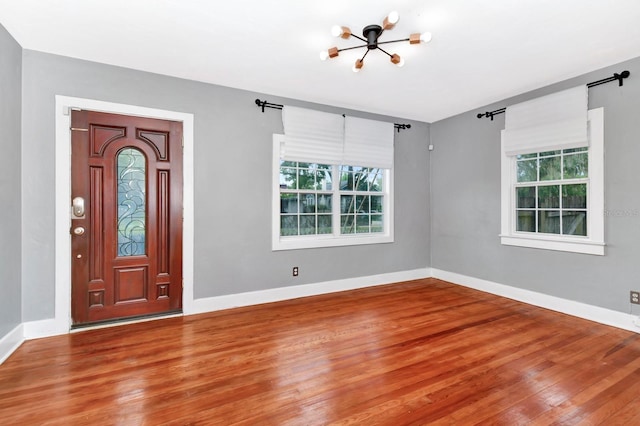 entryway featuring wood-type flooring