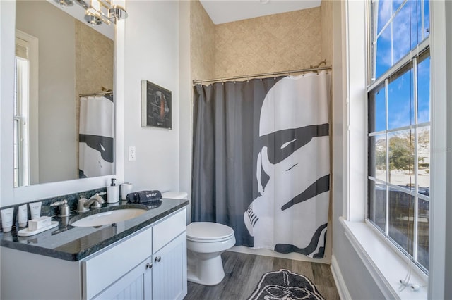 bathroom featuring vanity, toilet, and hardwood / wood-style floors