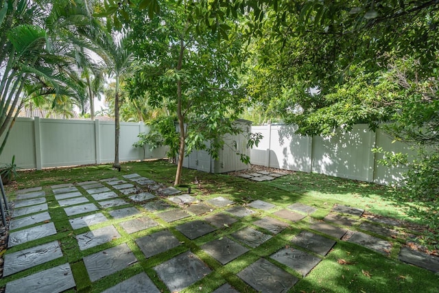 view of yard with a patio and a storage shed