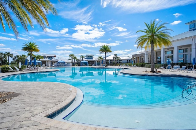 view of pool featuring a patio