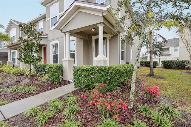 entrance to property featuring a yard