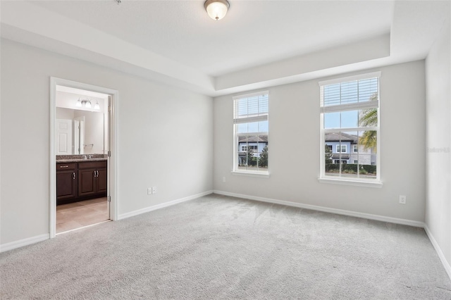 spare room featuring light colored carpet, sink, and a raised ceiling