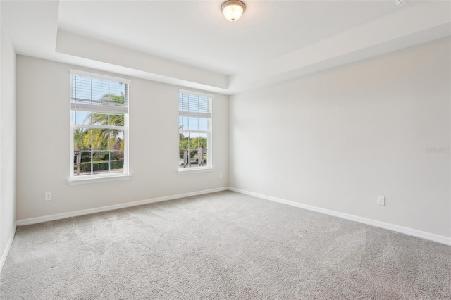 spare room with carpet and a raised ceiling