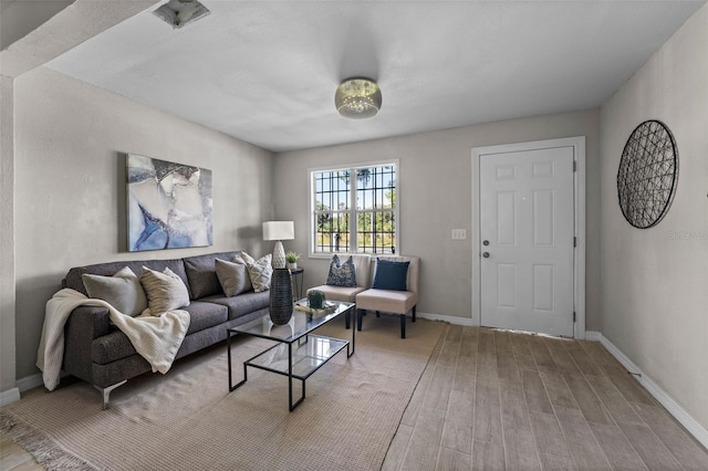 living room featuring light hardwood / wood-style floors