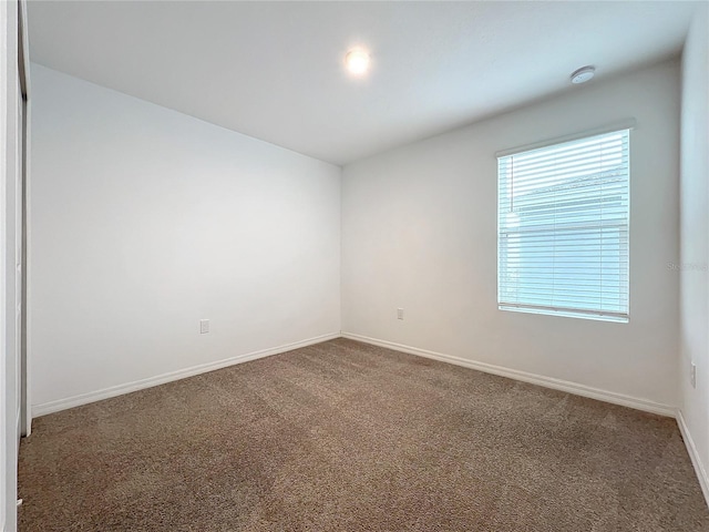 empty room featuring carpet floors