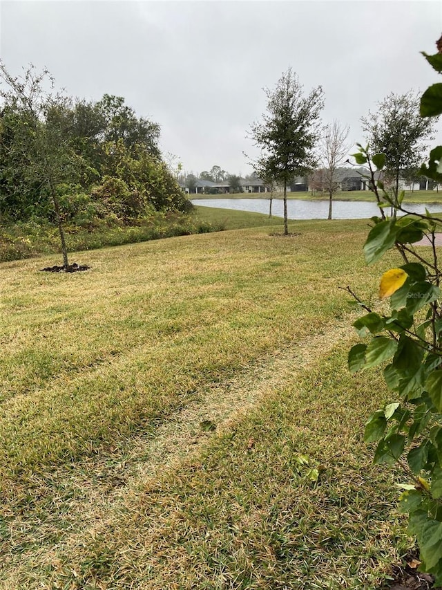 view of yard with a water view