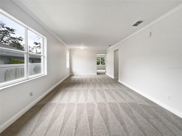 spare room featuring light carpet and crown molding