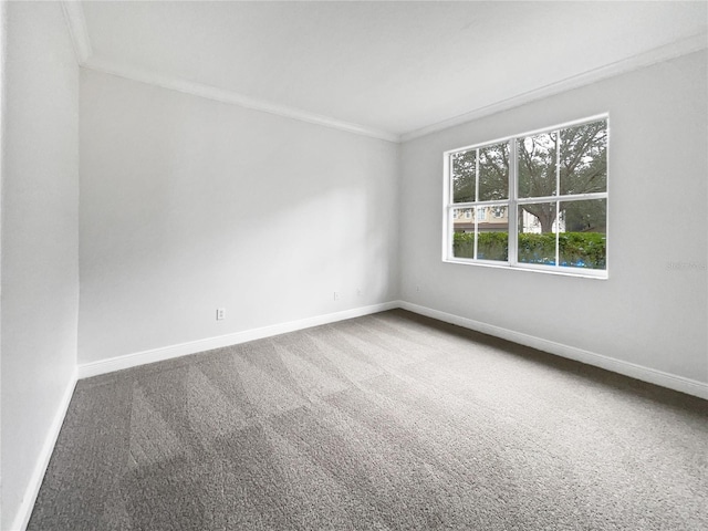 unfurnished room featuring ornamental molding and carpet