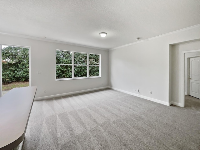 carpeted spare room with ornamental molding and a textured ceiling