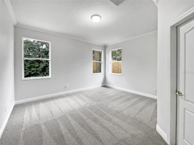 spare room featuring crown molding, carpet floors, and a textured ceiling