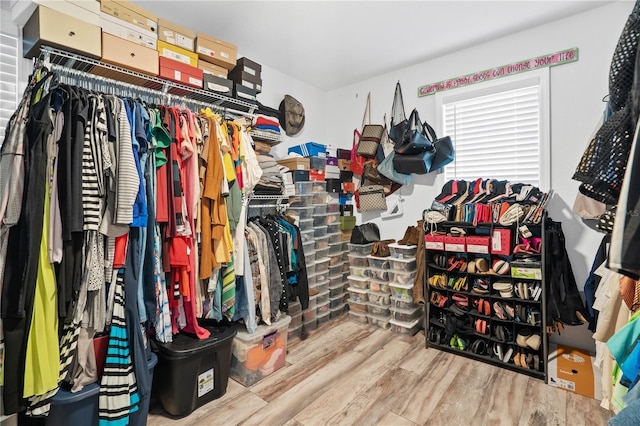 walk in closet with wood-type flooring