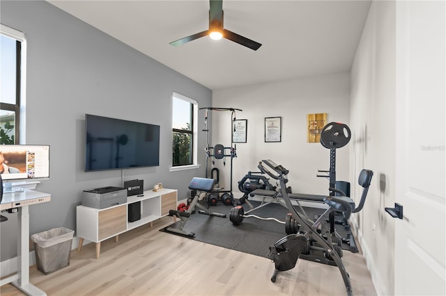 workout room with light hardwood / wood-style floors and ceiling fan