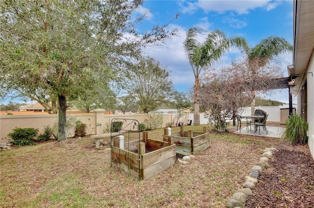 view of yard with a patio