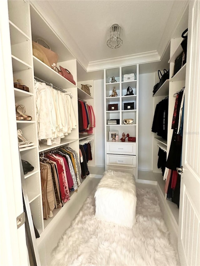 spacious closet with carpet flooring