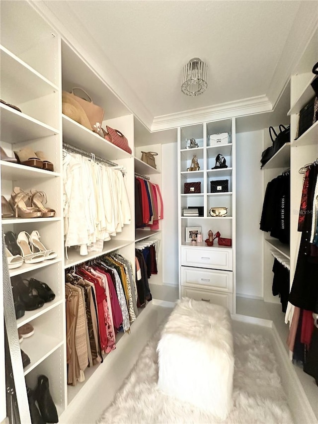 spacious closet with carpet