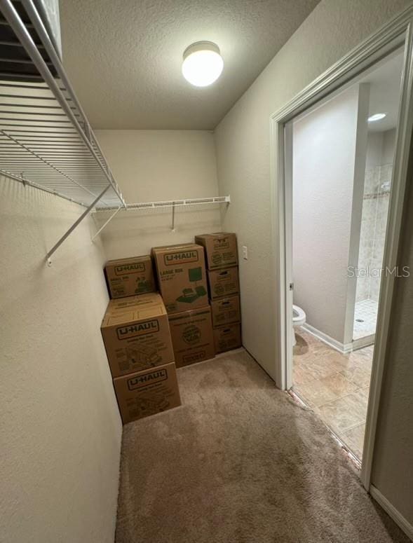 walk in closet with light carpet