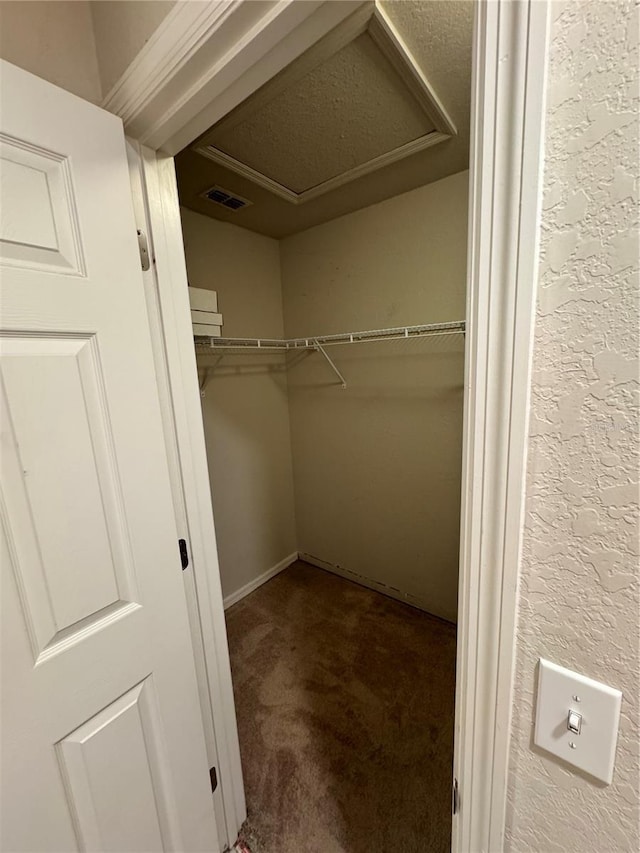 walk in closet featuring carpet flooring