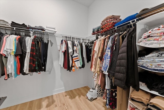 walk in closet featuring hardwood / wood-style flooring