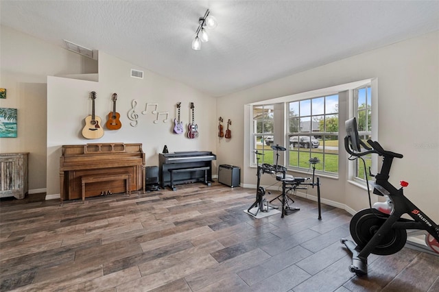 workout area with hardwood / wood-style floors, a textured ceiling, lofted ceiling, and track lighting