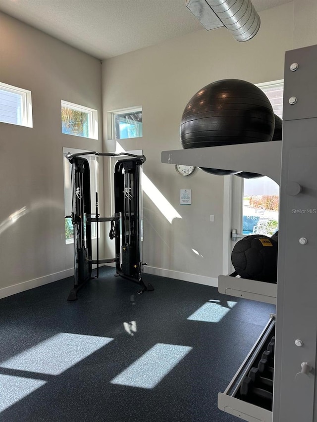 exercise room featuring a wealth of natural light