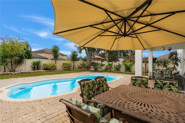 view of swimming pool featuring a patio