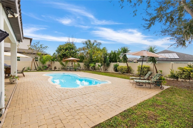 view of pool featuring a patio