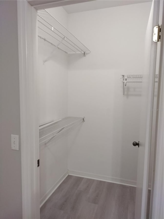 spacious closet featuring hardwood / wood-style floors