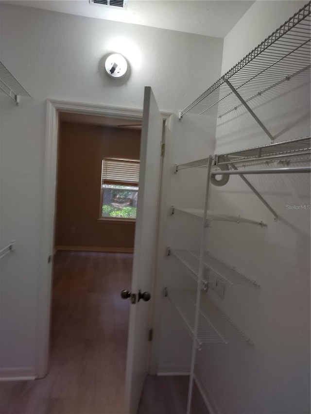 view of walk in closet