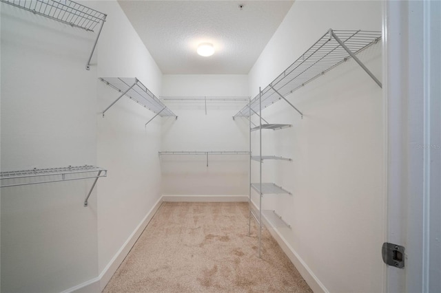 spacious closet with light carpet