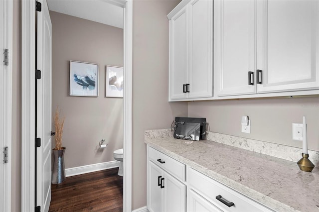 interior space featuring hardwood / wood-style flooring, toilet, and vanity