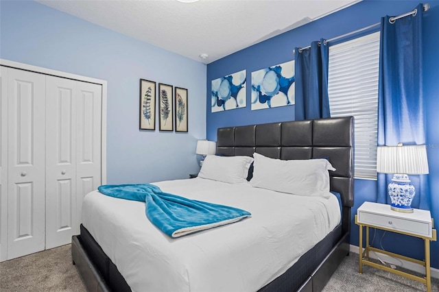 bedroom featuring carpet and a closet