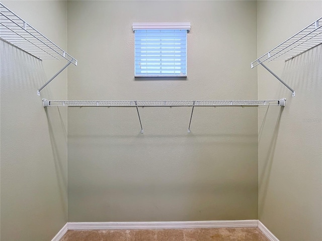 view of walk in closet