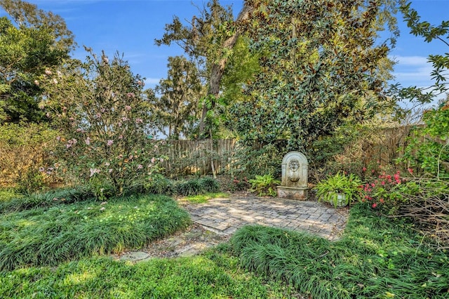 view of yard with a patio