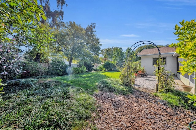 view of yard featuring a patio area