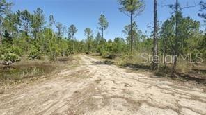 951 Omega Ranch Rd, New Smyrna Beach FL, 32168 land for sale