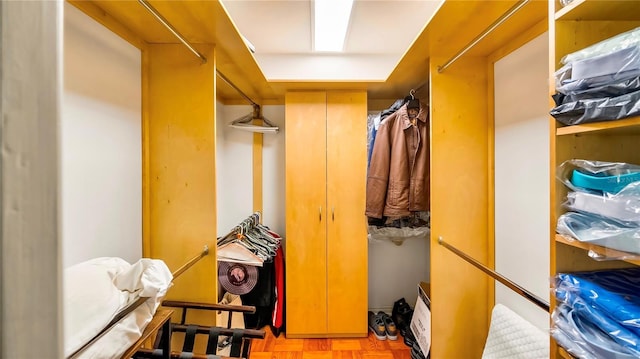 105 17th Ave NE, Saint Petersburg, FL 33704 - view of walk in closet