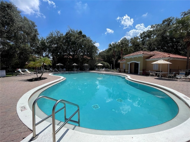 view of swimming pool featuring a patio area