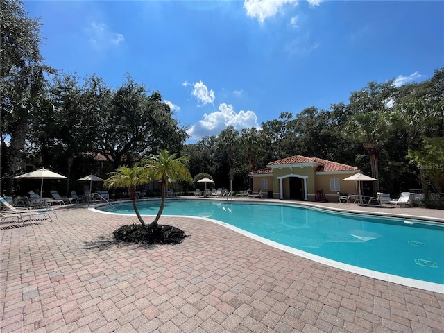 view of swimming pool with a patio area