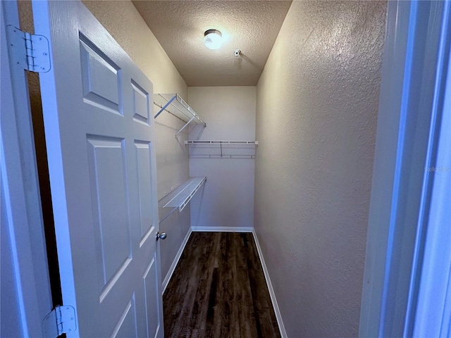 spacious closet with dark wood-type flooring