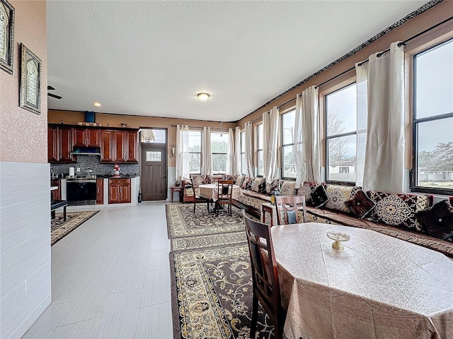 living room with a textured ceiling