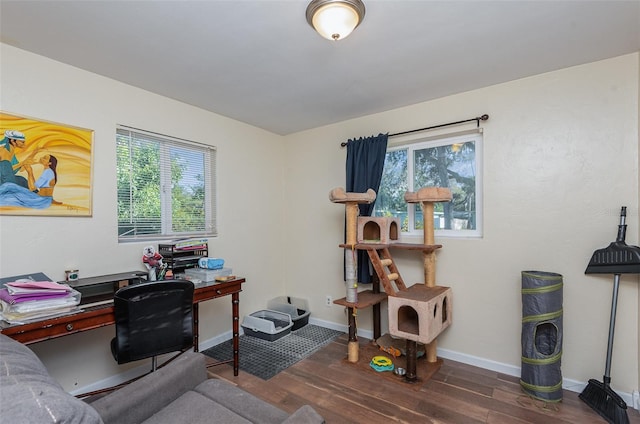 home office featuring dark hardwood / wood-style flooring