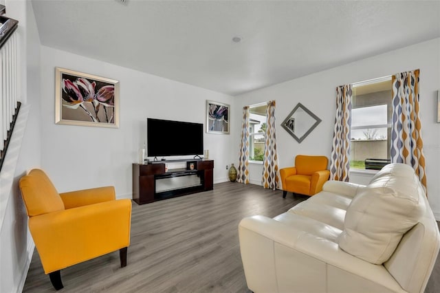 living room with hardwood / wood-style flooring