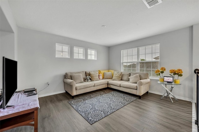 living room with hardwood / wood-style flooring and a healthy amount of sunlight