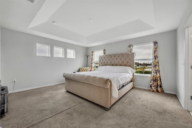 bedroom featuring a raised ceiling and carpet