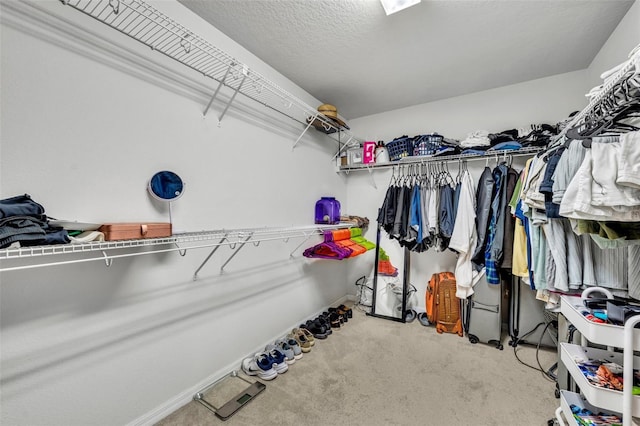 walk in closet with light carpet