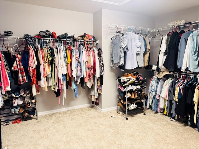 spacious closet with carpet