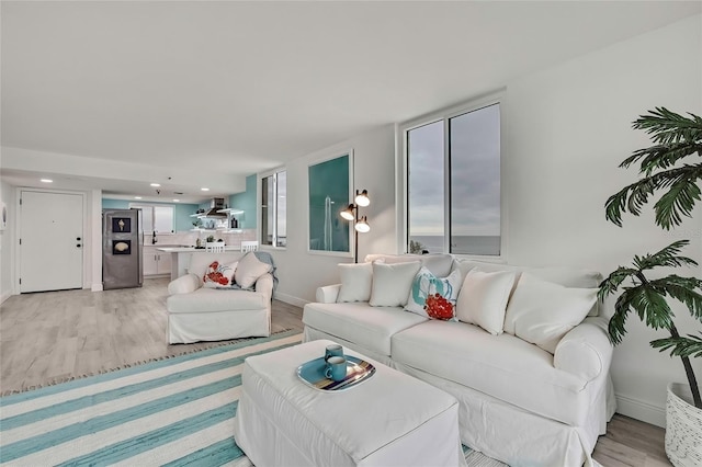 living room featuring light hardwood / wood-style flooring