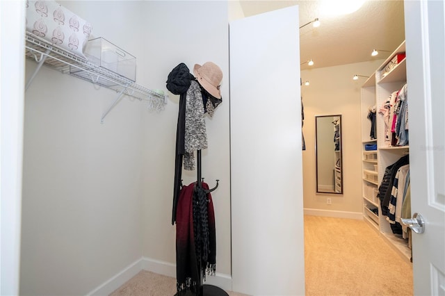 spacious closet with light colored carpet