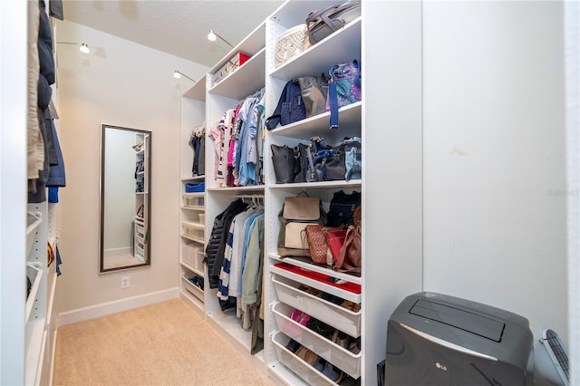 walk in closet with light colored carpet