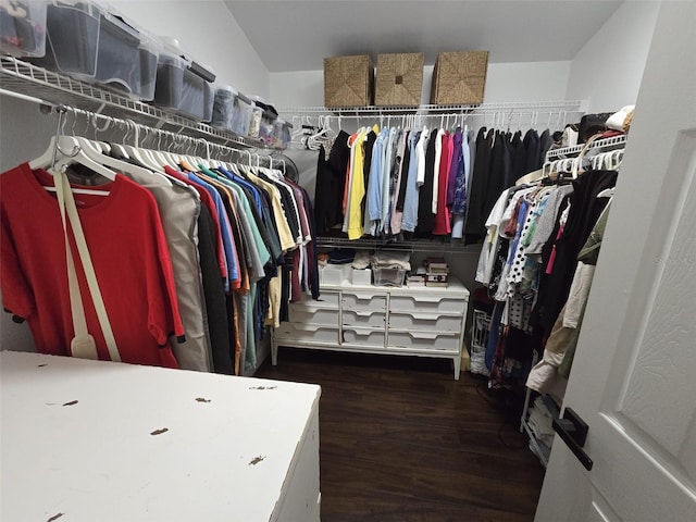 spacious closet featuring dark hardwood / wood-style flooring